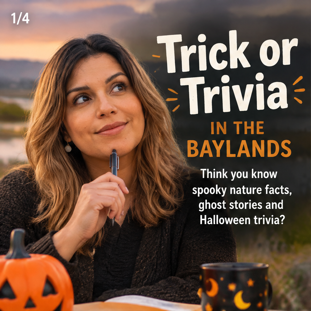 Trick or Trivia in the Baylands